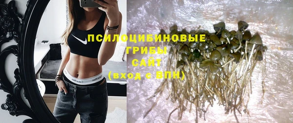 ешки Ладушкин