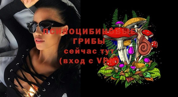 МДПВ Кулебаки