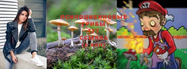 СК Волгодонск