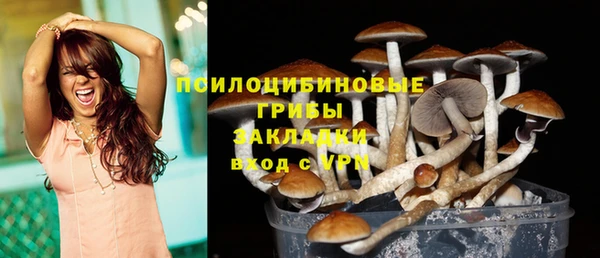 мет Кукмор
