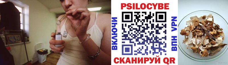 Псилоцибиновые грибы Psilocybe Фокино